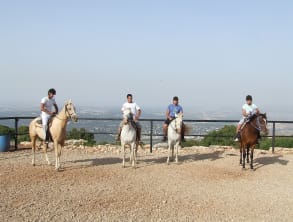 טיולי%20סוסים%20בכרמל%20,%20דלית%20אל%20כרמל